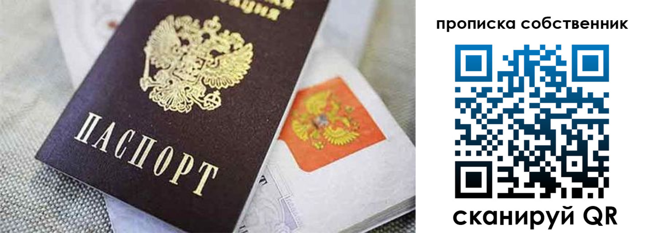 регистрация для школы в Ленинградской области