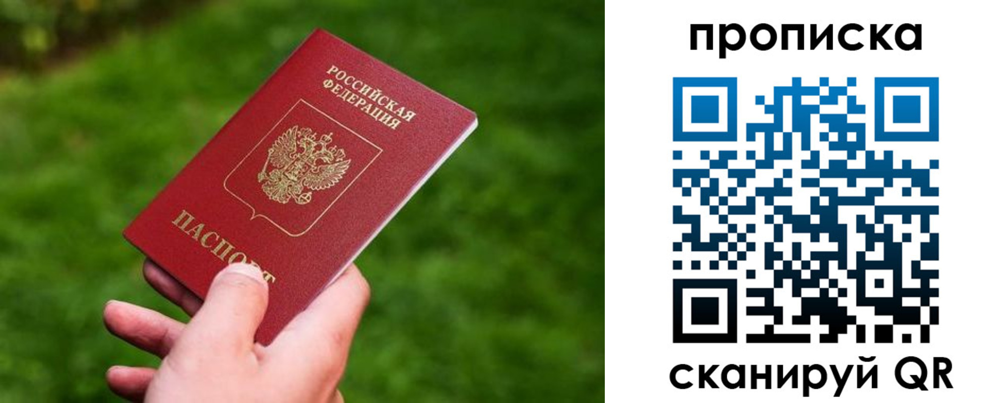 регистрация для школы в Ленинградской области